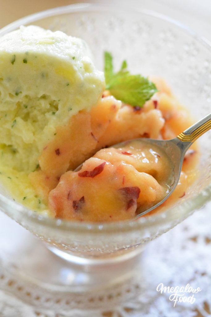 Incroyables sorbets express sans sucre ajouté et sans sorbetière